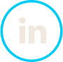 LinkedIn's Logo